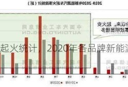 新能源车起火统计，2020年各品牌新能源汽车起火事故排行