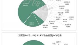 国家新能源车电池数据，2021年新能源电池