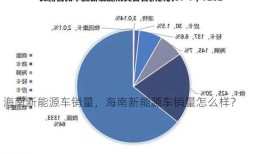 海南新能源车销量，海南新能源车销量怎么样？