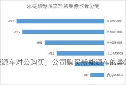 新能源车对公购买，公司购买新能源车的弊端？