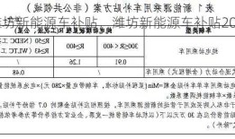 潍坊新能源车补贴，潍坊新能源车补贴2023！