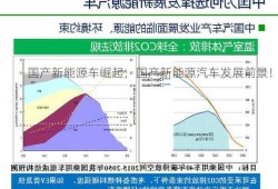 国产新能源车崛起，国产新能源汽车发展前景！