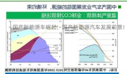 国产新能源车崛起，国产新能源汽车发展前景！