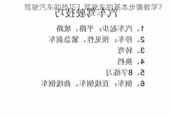 驾驶汽车的技巧？驾驶车的基本步骤教学？