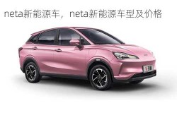 neta新能源车，neta新能源车型及价格