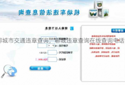 聊城市交通违章查询，聊城违章查询在线查询电话！