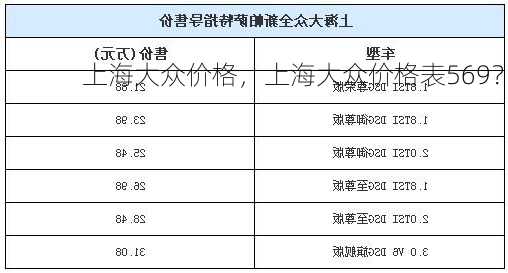 上海大众价格，上海大众价格表569？