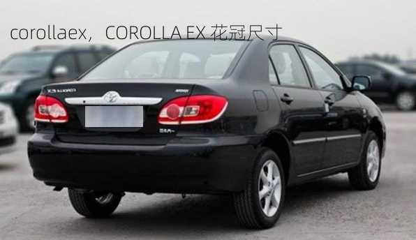 corollaex，COROLLA EX 花冠尺寸