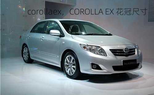 corollaex，COROLLA EX 花冠尺寸