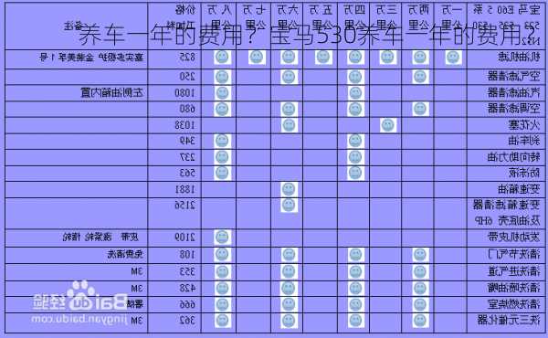 养车一年的费用？宝马530养车一年的费用？