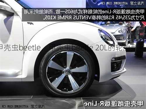 甲壳虫beetle，甲壳虫beetle 20L的轮胎型号！