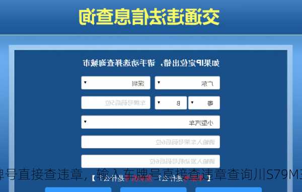 输入车牌号直接查违章，输入车牌号直接查违章查询川S79M37