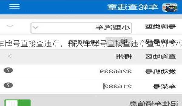 输入车牌号直接查违章，输入车牌号直接查违章查询川S79M37