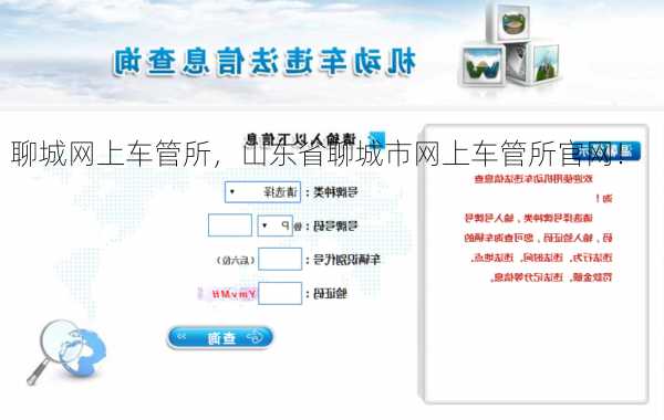 聊城网上车管所，山东省聊城市网上车管所官网！