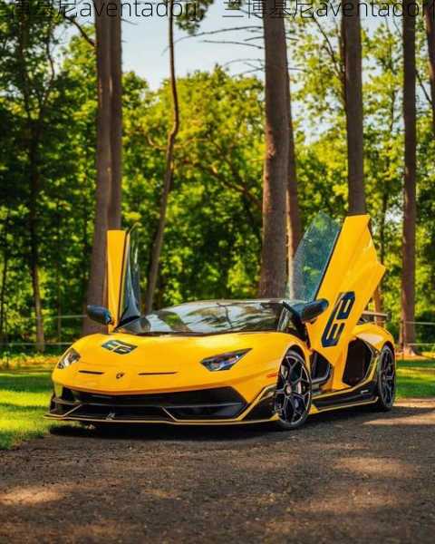 兰博基尼aventadorj，兰博基尼aventador价格