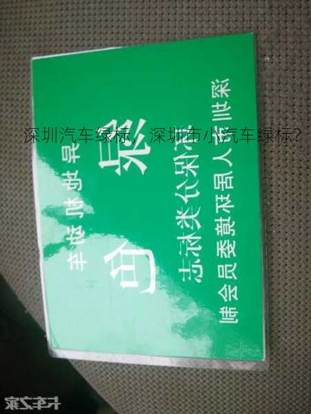 深圳汽车绿标，深圳市小汽车绿标？