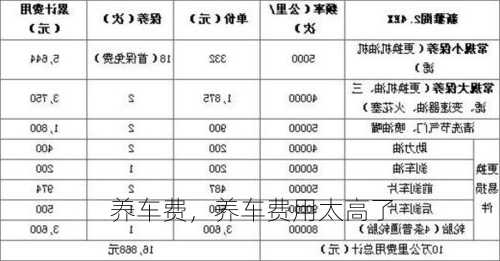 养车费，养车费用太高了