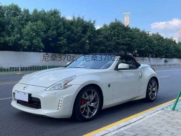 尼桑370z，尼桑370z是什么车！