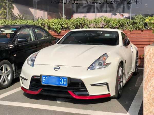 尼桑370z，尼桑370z是什么车！