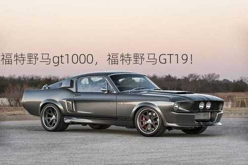 福特野马gt1000，福特野马GT19！