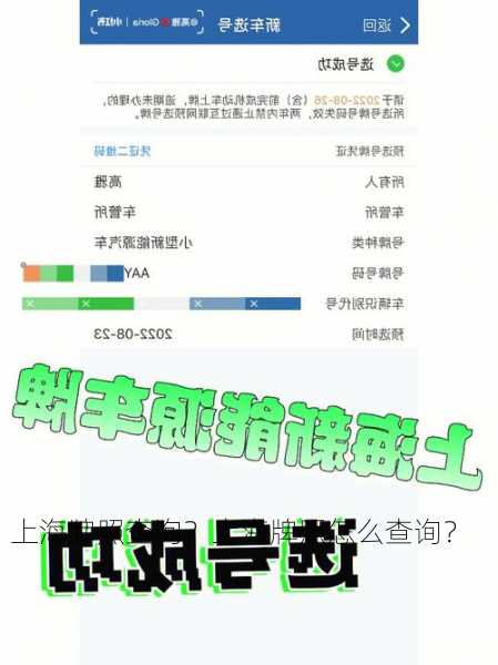 上海牌照查询？上海牌照怎么查询？