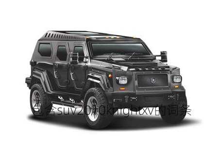 包含suv2010knightxv的词条