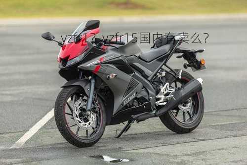 yzfr1？yzfr15国内有卖么？