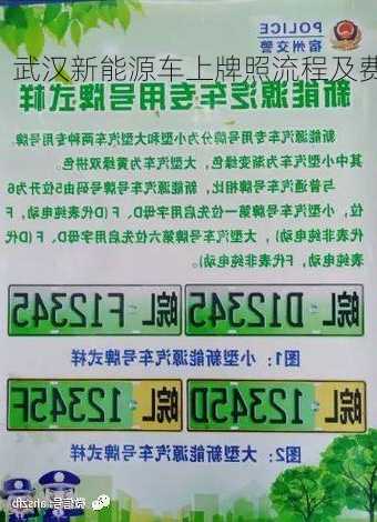 武汉新能源车拍照，武汉新能源车上牌照流程及费用