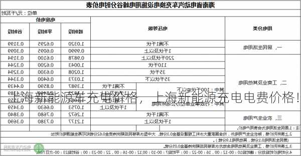 上海新能源车充电价格，上海新能源充电电费价格！