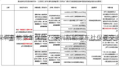 深圳新能源车保险？深圳新能源车社保要交多久？