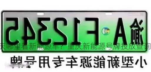 重庆哪里看新能源车？重庆新能源号牌投放查询？