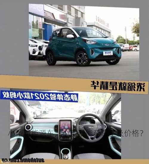 小型新能源车，小型新能源车型及价格？