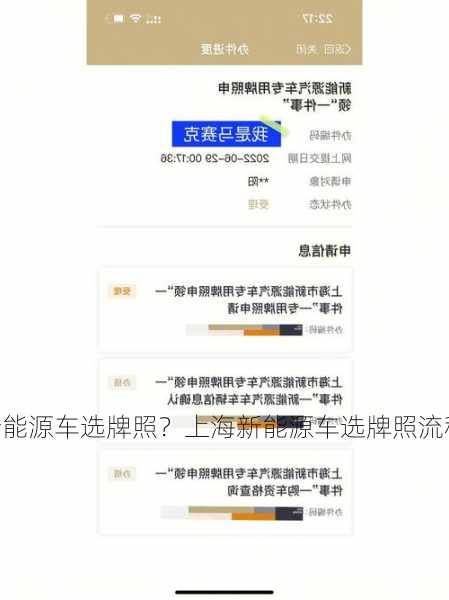 上海新能源车选牌照？上海新能源车选牌照流程？