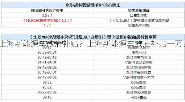 上海新能源车政府补贴？上海新能源车政府补贴一万？