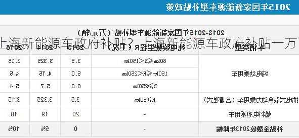 上海新能源车政府补贴？上海新能源车政府补贴一万？