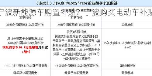 宁波新能源车购置补贴？宁波购买电动车补贴？