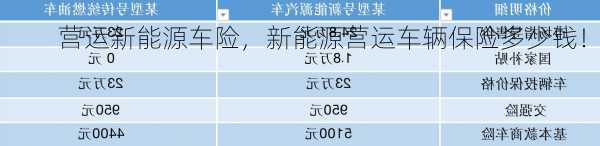 营运新能源车险，新能源营运车辆保险多少钱！