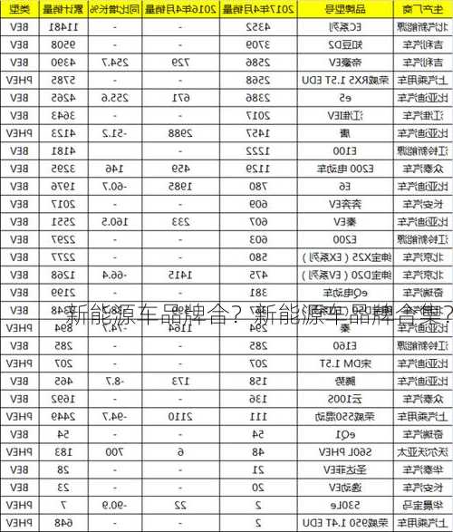 新能源车品牌合？新能源车品牌合集？