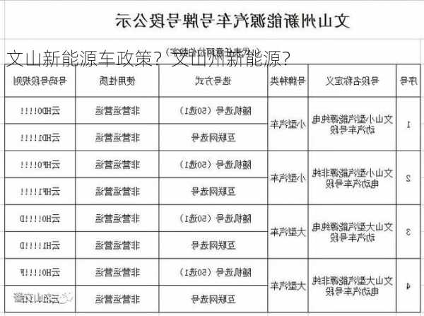 文山新能源车政策？文山州新能源？