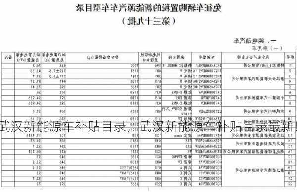 武汉新能源车补贴目录，武汉新能源车补贴目录最新！