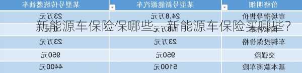 新能源车保险保哪些，新能源车保险买哪些？