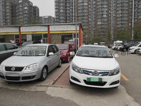 01新能源二狗车，新能源二手汽车市场！