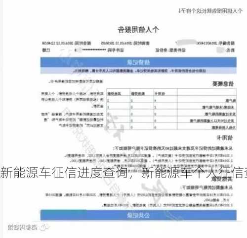 新能源车征信进度查询，新能源车个人征信查询？