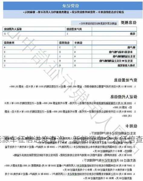 新能源车征信进度查询，新能源车个人征信查询？