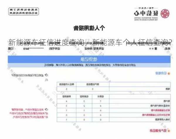 新能源车征信进度查询，新能源车个人征信查询？