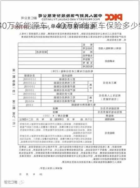 40万新能源车，40万新能源车保险多少钱一年！