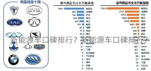 新能源车口碑排行？新能源车口碑排行？