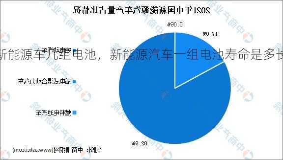 新能源车几组电池，新能源汽车一组电池寿命是多长