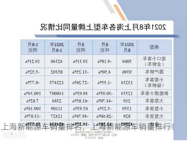 上海新能源车销量排名，上海新能源车销量排行！