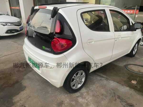 郴汽新能源车，郴州新能源汽车？